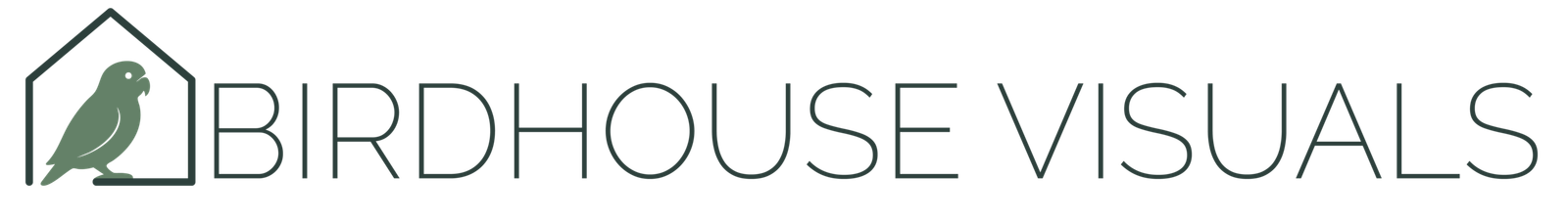 birdhousevisuals.com